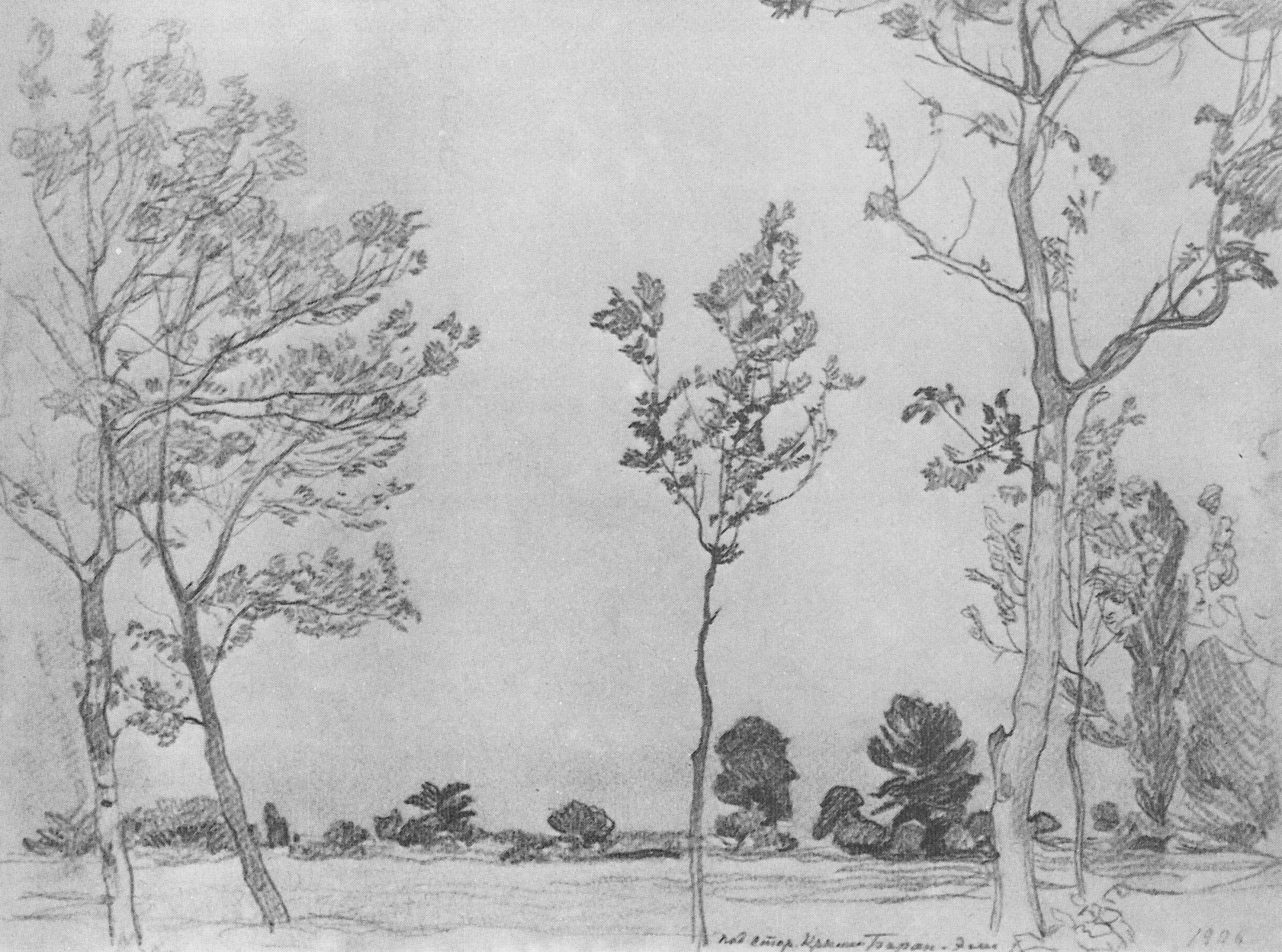 Богаевский. Деревья в Баран-Эли. 1906