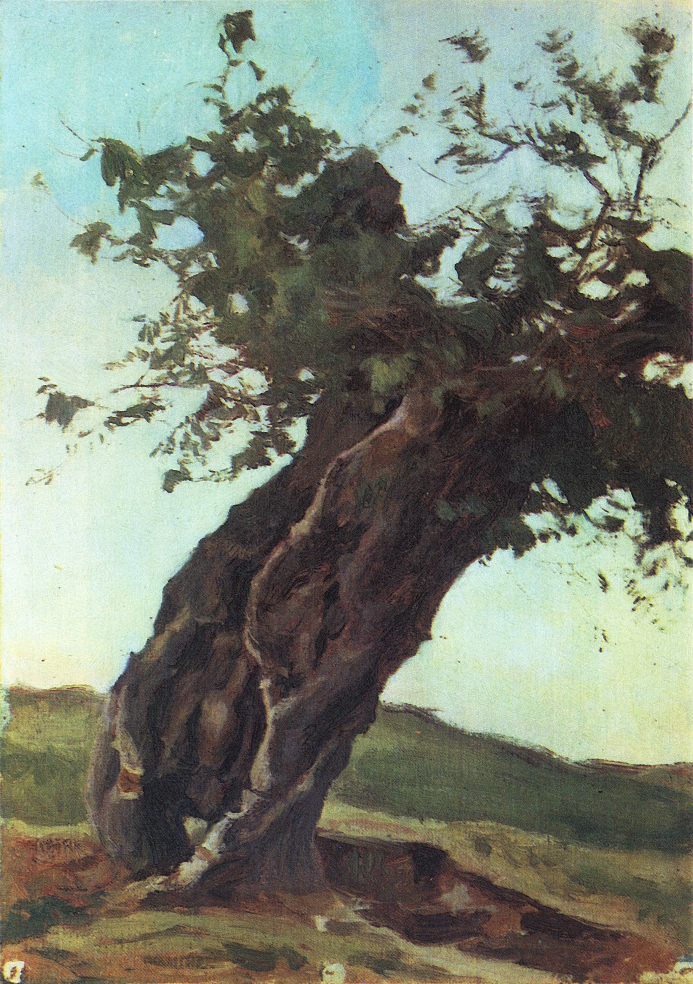 Богаевский. Старый ствол. 1890-е