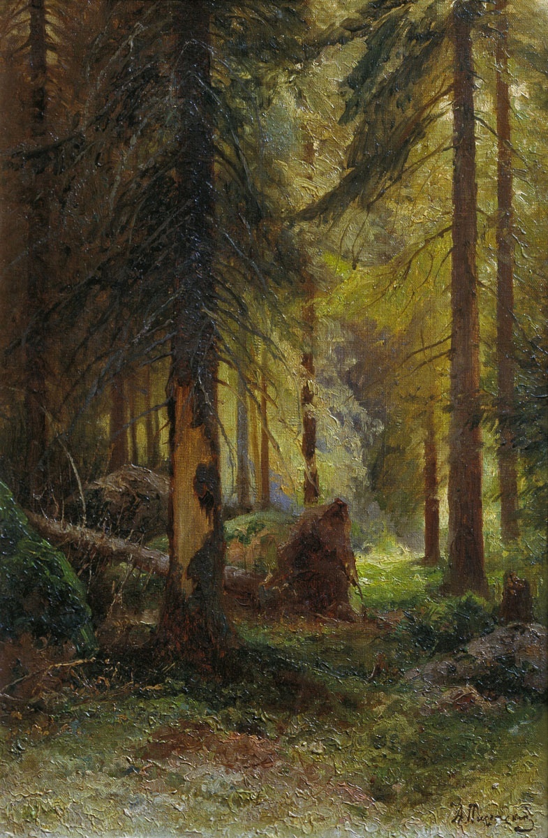 Писемский А.А.. Сосновый лес