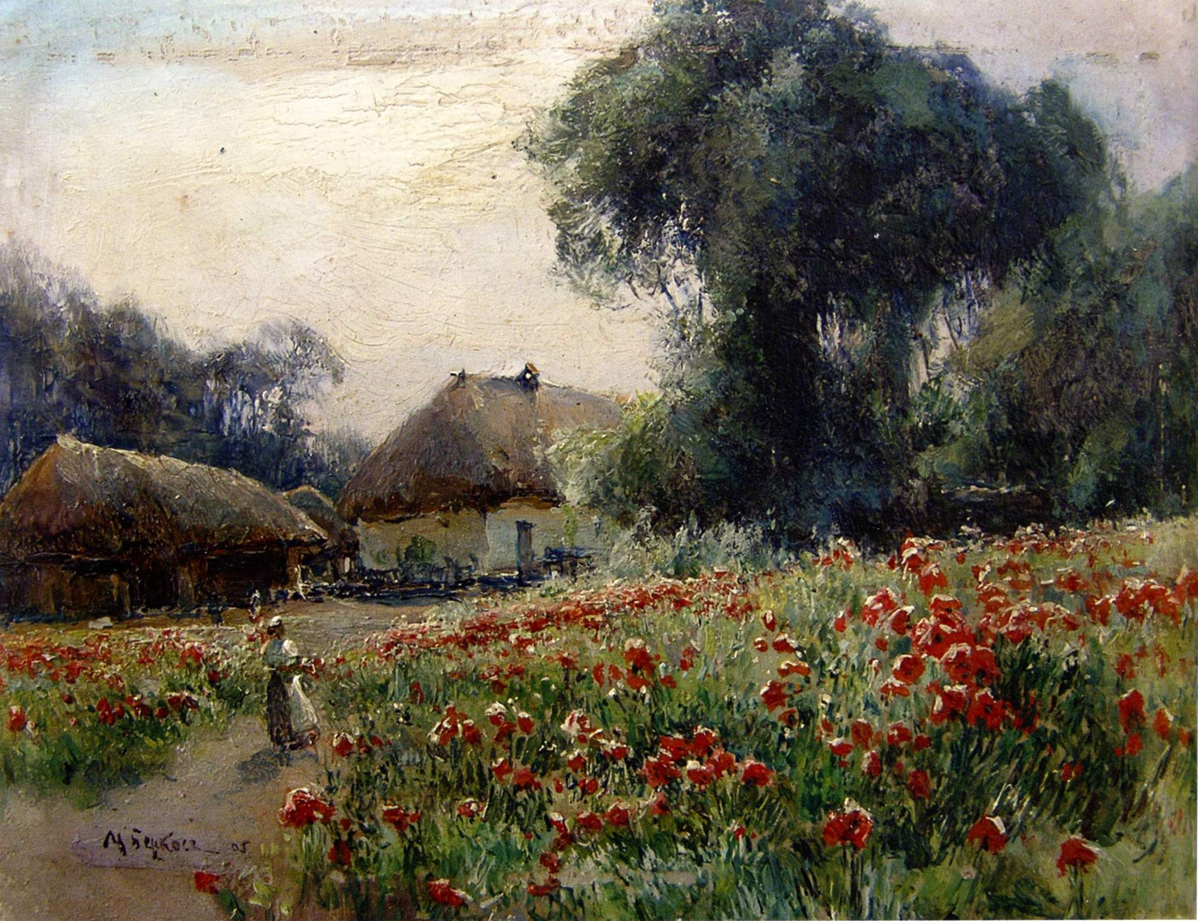 Беркос. Мак цветет . 1905