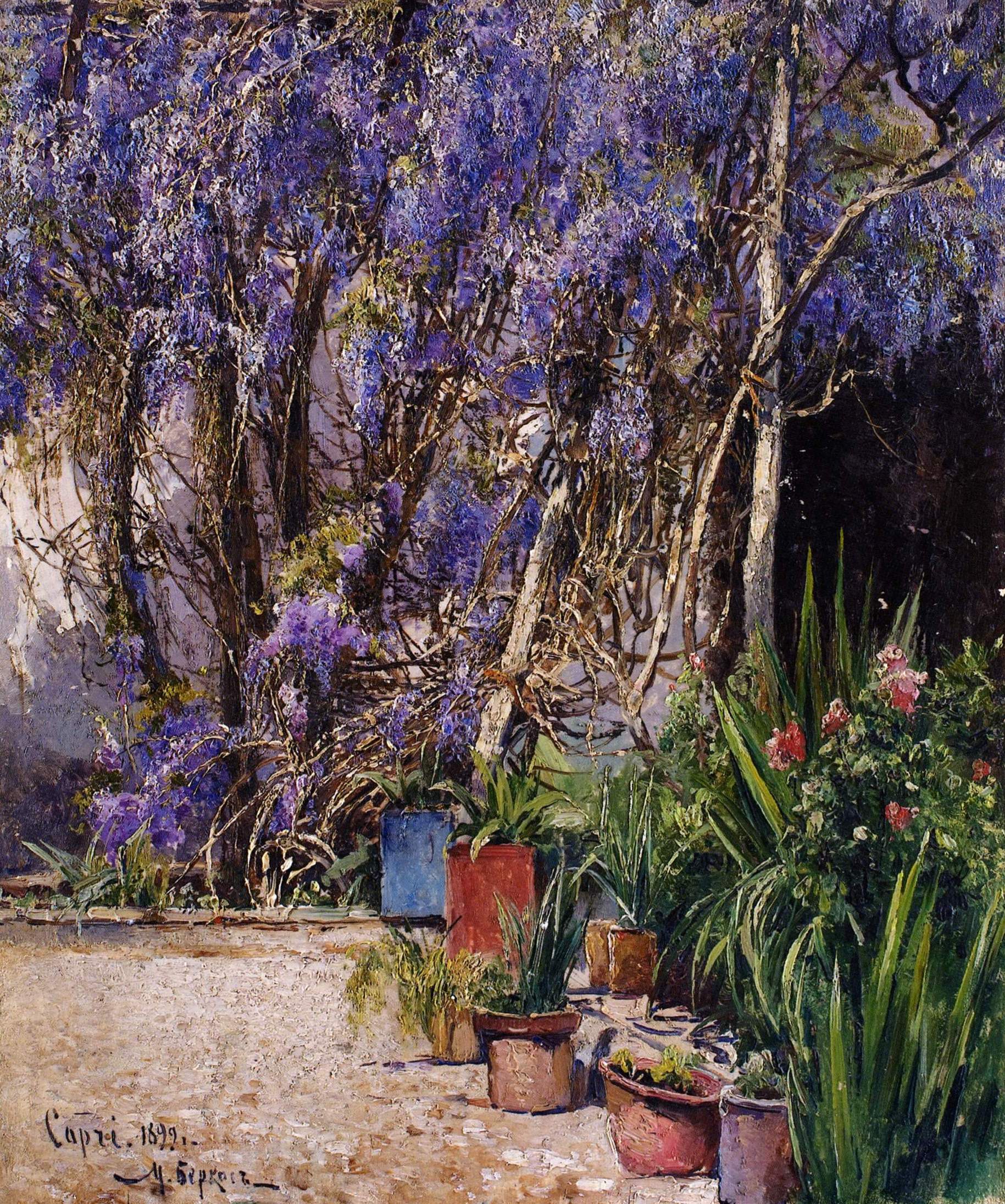 Беркос. Капри. 1899
