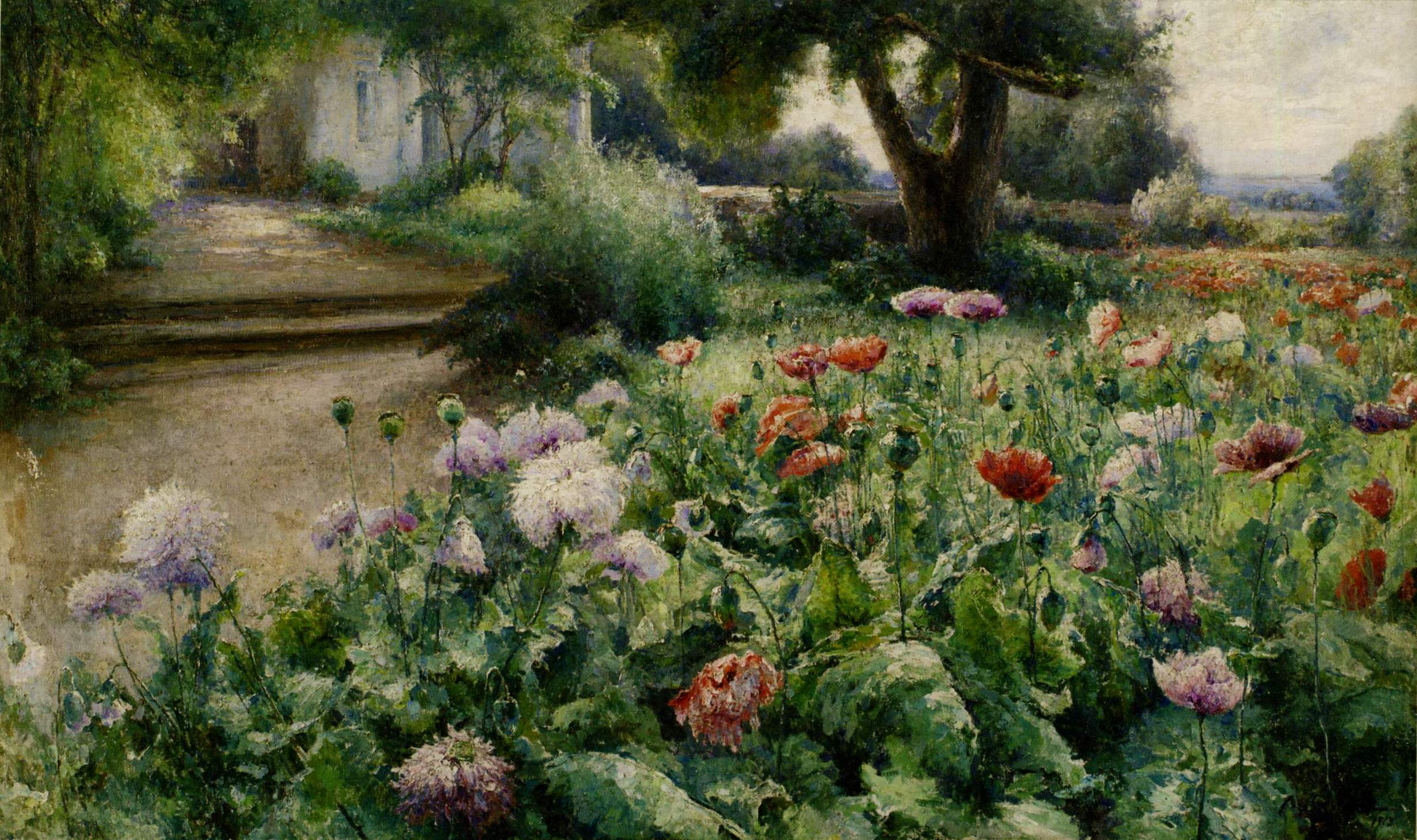 Беркос. Июнь. Маки расцветают. 1913