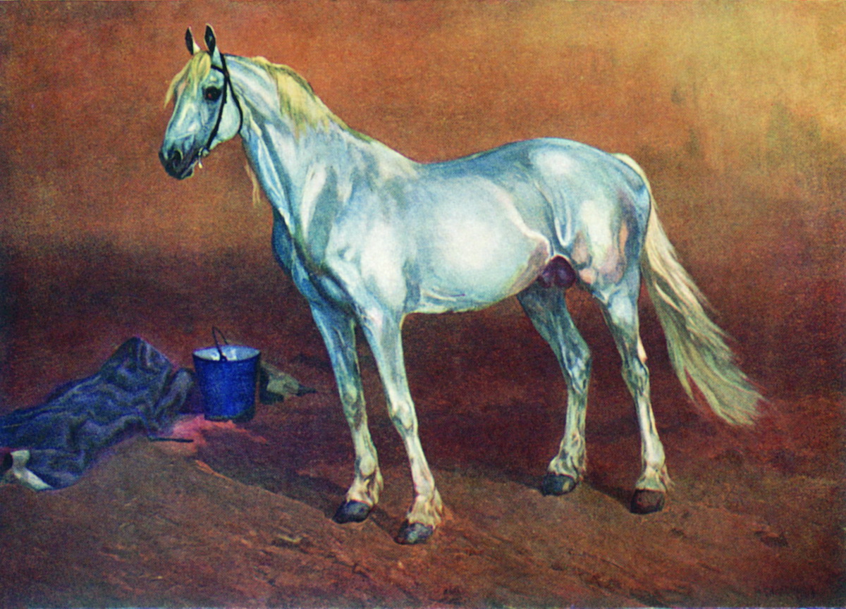 Самокиш. Громадный. 1913