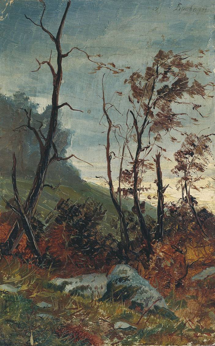 Бровар. Лесной пейзаж. Конец XIX века