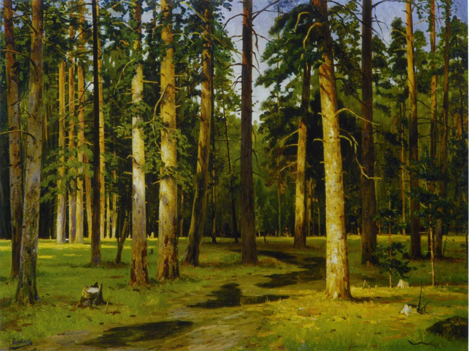 Бровар. Лес 