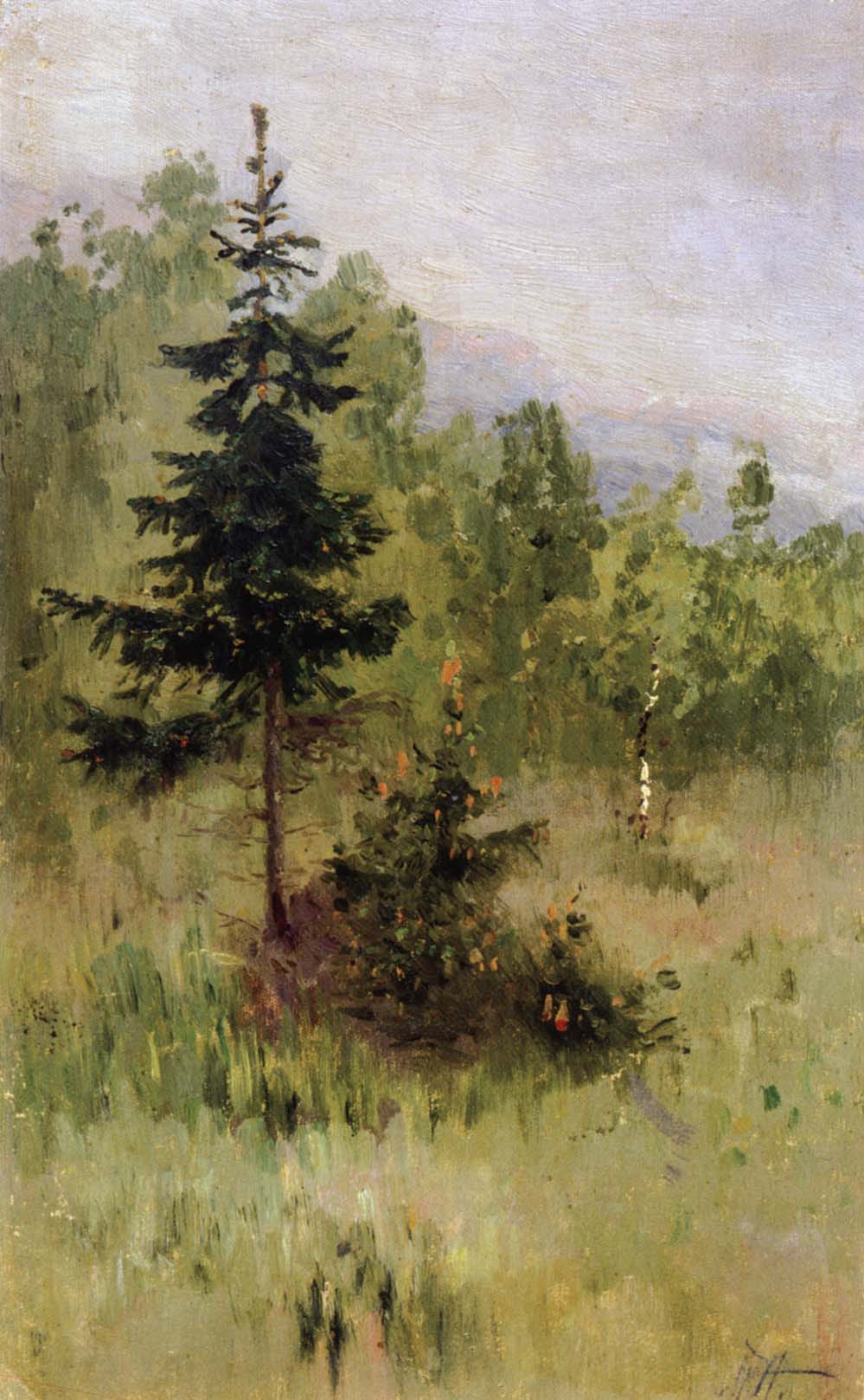 Нестеров М.. Ель. 1890-1891