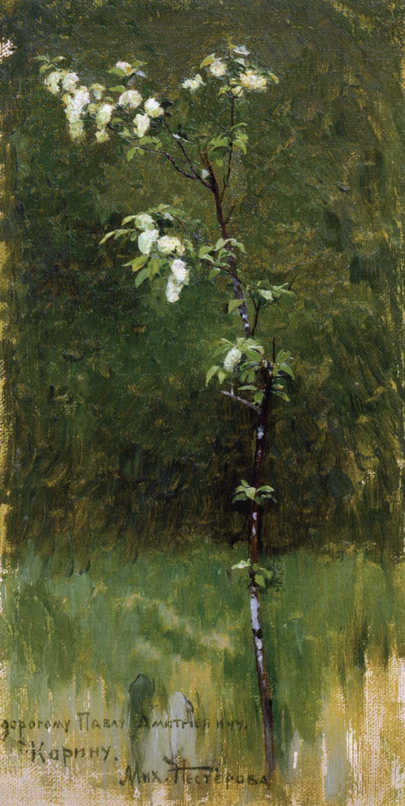Нестеров М.. Цветущее дерево. 1890-1891