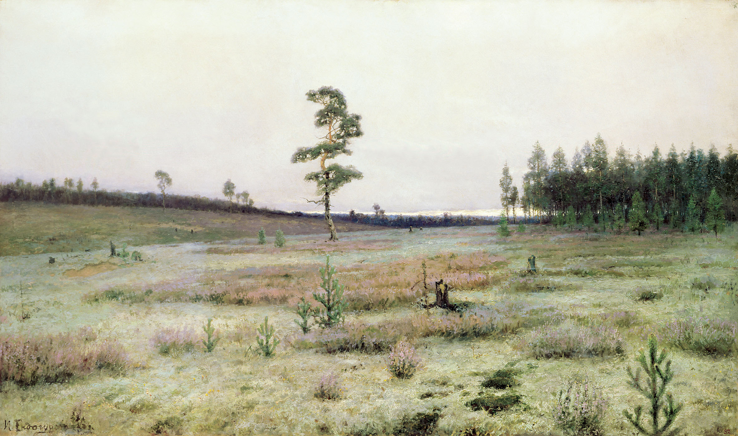 Ендогуров И.. Мхи. 1890-е