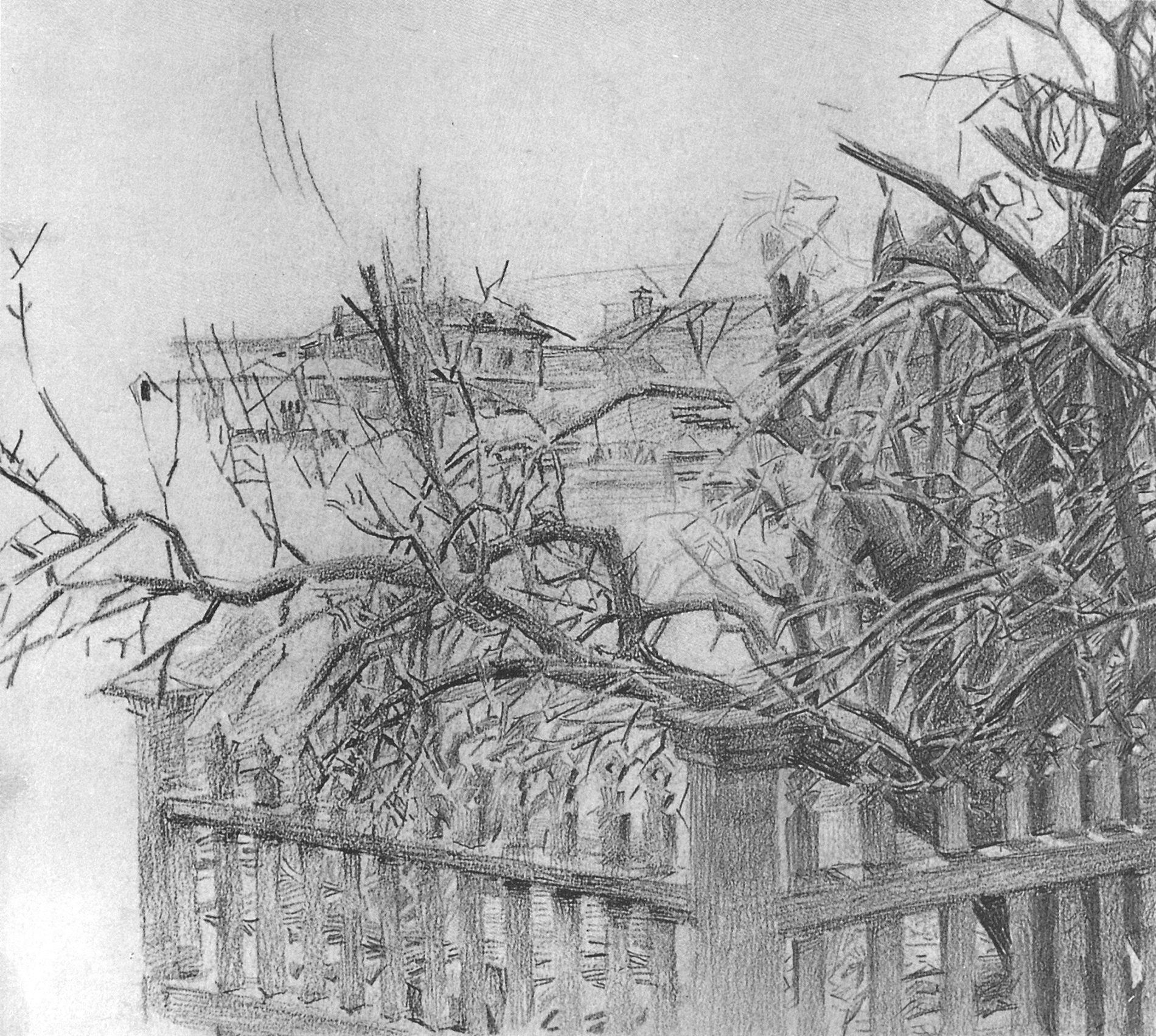 Врубель. Дерево у забора. 1903-1904