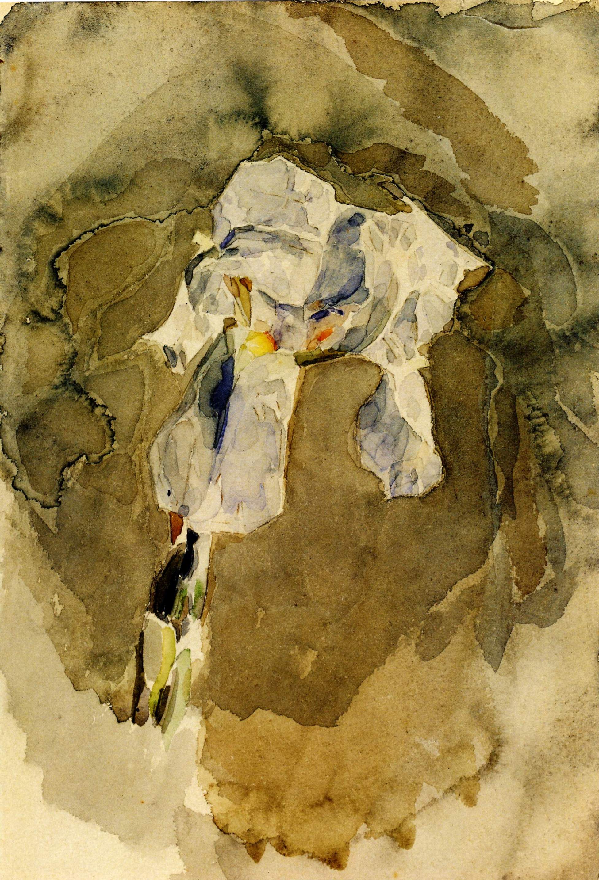 Врубель. Белый ирис. 1886-1887