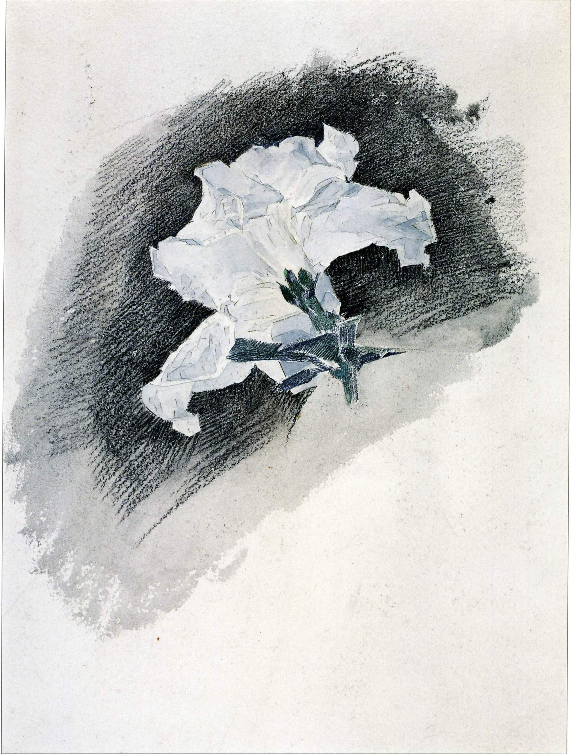 Врубель. Белая азалия без стебля . 1886-1887